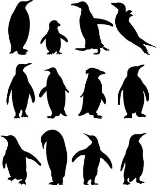 Penguen siyah simgesi, şeffaf üzerinde izole edilmiş düz vektör koleksiyonu ayarladı. Logo bebek çizgi film karakteri sembolü grafik karalama hayvan unsuru, karakterler eğlence oynar, kardan adam yapar, kayak ve kayak yapar
