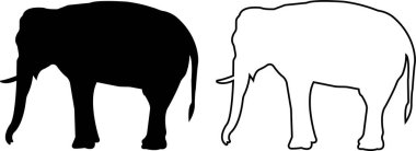 Fil vahşi hayvan ikonu seti vektörü, işaret, sembol, logo, düzenlenebilir felç, şeffaf arkaplanda izole edilmiş düz tasarım koleksiyonu. Fil silueti ağ ve uygulama için farklı kenar görünüm kullanımı.