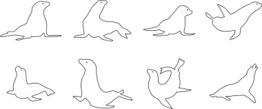 Sealion hayvan maskotu siluet simgesi seti. Şeffaf arkaplan üzerinde izole edilmiş deniz aslanı siyah vektör hattı koleksiyonu, klipart resim tasarım sanatı grafiksel çizim minimalist kontur.