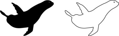 Sealion hayvan maskotu siluet simgesi seti. Deniz aslanı siyah vektör düz çizgi koleksiyonu şeffaf arkaplan üzerinde izole, clipart resim tasarım sanat grafiksel çizim minimalist kontur.