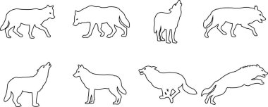 Siyah kurt silueti kesme simgesi seti. Çizgi vektör kurt hayvan koleksiyonu şeffaf arka planda izole edildi. Ön ve yan görünüm baskı kabile dövmesi uluyan Pagan tanıdık ruh sanatı