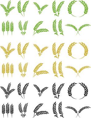 Buğday kulağı simgesi seti ve buğday tasarım elementleri düz çizgi vektör koleksiyonu şeffaf arkaplanda izole edildi. Buğday, pirinç sapı ve tam tahıl veya mısır gevreği hasat edin..