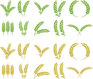 Buğday kulağı simgesi seti ve buğday tasarım elementleri düz çizgi vektör koleksiyonu şeffaf arkaplanda izole edildi. Buğday, pirinç sapı ve tam tahıl veya mısır gevreği hasat edin..