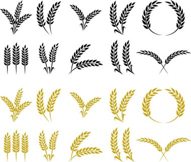 Buğday kulağı simgesi seti ve buğday tasarım elementleri düz çizgi vektör koleksiyonu şeffaf arkaplanda izole edildi. Buğday, pirinç sapı ve tam tahıl veya mısır gevreği hasat edin..