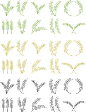 Buğday kulağı simgesi seti ve buğday tasarım elementleri düz çizgi vektör koleksiyonu şeffaf arkaplanda izole edildi. Buğday, pirinç sapı ve tam tahıl veya mısır gevreği hasat edin..