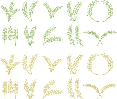 Buğday kulağı simgesi seti ve buğday tasarım elementleri düz çizgi vektör koleksiyonu şeffaf arkaplanda izole edildi. Buğday, pirinç sapı ve tam tahıl veya mısır gevreği hasat edin..