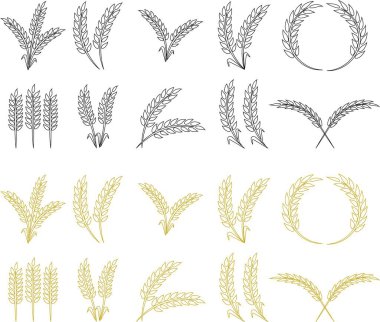 Buğday kulağı simgesi seti ve buğday tasarım elementleri düz çizgi vektör koleksiyonu şeffaf arkaplanda izole edildi. Buğday, pirinç sapı ve tam tahıl veya mısır gevreği hasat edin..