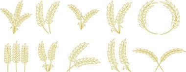 Buğday kulağı simgesi seti ve buğday tasarım elementleri düz çizgi vektör koleksiyonu şeffaf arkaplanda izole edildi. Buğday, pirinç sapı ve tam tahıl veya mısır gevreği hasat edin..