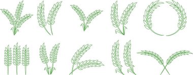 Buğday kulağı simgesi seti ve buğday tasarım elementleri düz çizgi vektör koleksiyonu şeffaf arkaplanda izole edildi. Buğday, pirinç sapı ve tam tahıl veya mısır gevreği hasat edin..