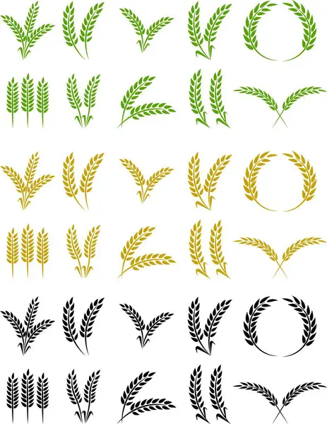 Buğday kulağı simgesi seti ve buğday tasarım elementleri düz çizgi vektör koleksiyonu şeffaf arkaplanda izole edildi. Buğday, pirinç sapı ve tam tahıl veya mısır gevreği hasat edin..