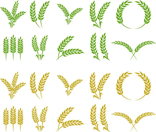 Buğday kulağı simgesi seti ve buğday tasarım elementleri düz çizgi vektör koleksiyonu şeffaf arkaplanda izole edildi. Buğday, pirinç sapı ve tam tahıl veya mısır gevreği hasat edin..