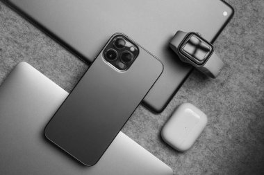 Gri arka planda farklı elma ürünlerinin düz yatışı.