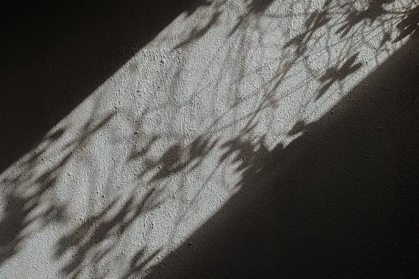 ホワイト上の太陽光反射のトレンドの写真効果 — ストック写真
