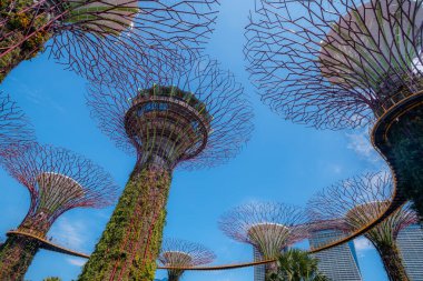 alacakaranlık gökyüzü üzerinde bay tarafından Singapur Bahçe