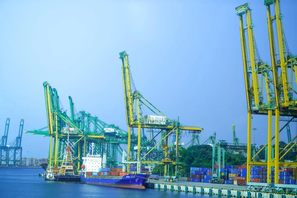 Blick Auf Ein Containerterminal Singapur — Stockfoto