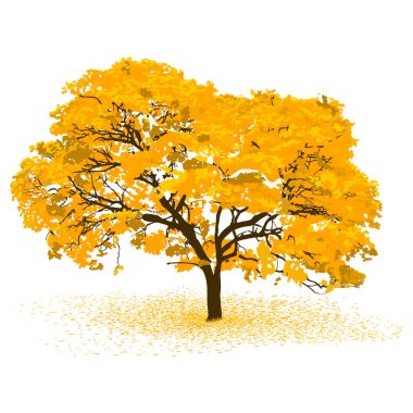 Yaratıcı hayvan konsepti - Lignum vitte Ilustracon artistica de un flor amarillo, guayacan, lapacho, roble amarillo, tajibo, zapatillo, zapito