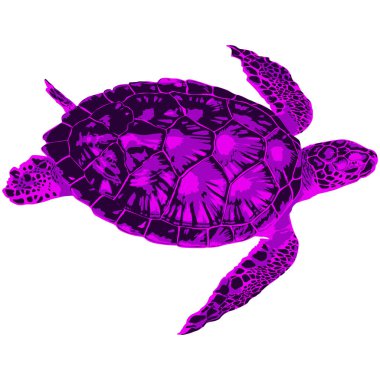 Yaratıcı hayvan konsepti - Yüzen büyük bir deniz kaplumbağasının sanatsal çizimi  