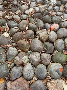 Yuvarlak taşların, kuru yaprakların ve dalların zemin dokusu