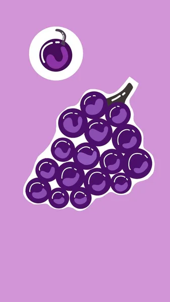 Uvas Las Uvas Púrpuras Brillantes Están Listas —  Fotos de Stock
