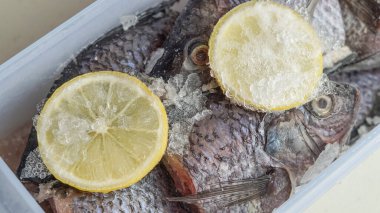 mujaer fish preserved using ice and lemon slices clipart