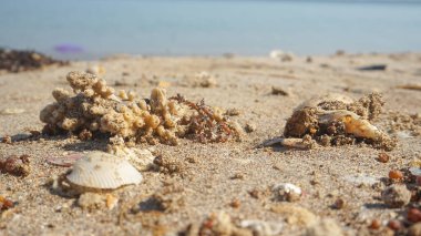 Kıyı şeridi, beyaz kumlu mavi plajlar.