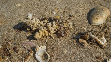 Kıyı şeridi, beyaz kumlu mavi plajlar.