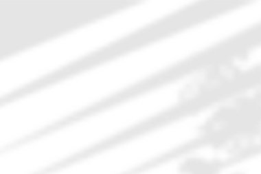 Pencere gölgesi. Şeffaf arkaplanda gölgelendirme. Yaprakları kaplamak bitki etkisi yaratır. Perdelerin gölge yansıması. Ofis duvarındaki pencereden gelen ışık. Gerçekçi renk körü. Yatay maketler. Vektör