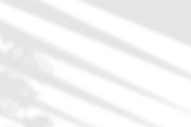 Pencere gölgesi. Şeffaf arkaplanda gölgelendirme. Yaprakları kaplamak bitki etkisi yaratır. Perdelerin gölge yansıması. Ofis duvarındaki pencereden gelen ışık. Gerçekçi renk körü. Yatay maketler. Vektör