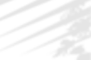 Pencere gölgesi. Şeffaf arkaplanda gölgelendirme. Yaprakları kaplamak bitki etkisi yaratır. Perdelerin gölge yansıması. Ofis duvarındaki pencereden gelen ışık. Gerçekçi renk körü. Yatay maketler. Vektör