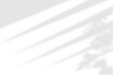 Pencere gölgesi. Şeffaf arkaplanda gölgelendirme. Yaprakları kaplamak bitki etkisi yaratır. Perdelerin gölge yansıması. Ofis duvarındaki pencereden gelen ışık. Gerçekçi renk körü. Yatay maketler. Vektör