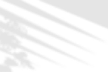 Pencere gölgesi. Şeffaf arkaplanda gölgelendirme. Yaprakları kaplamak bitki etkisi yaratır. Perdelerin gölge yansıması. Ofis duvarındaki pencereden gelen ışık. Gerçekçi renk körü. Yatay maketler. Vektör