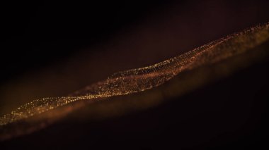 Lüks altın ışıltılı parçacıklar arka plan dalga