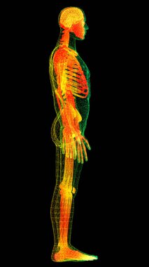 Gelecekteki baş ekran hareket elementi sanal biyomedikal holografik insan vücut taraması nörolojik inceleme, eksensel iskelet, omurga, DNA ve kalp taraması