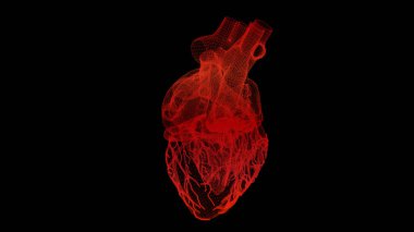 Gelecekteki baş ekran hareket elementi sanal biyomedikal holografik insan vücut taraması nörolojik inceleme, eksensel iskelet, omurga, DNA ve kalp taraması