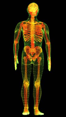 Gelecekteki baş ekran hareket elementi sanal biyomedikal holografik insan vücut taraması nörolojik inceleme, eksensel iskelet, omurga, DNA ve kalp taraması