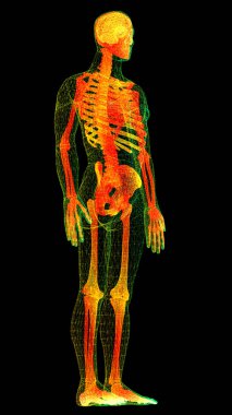 Gelecekteki baş ekran hareket elementi sanal biyomedikal holografik insan vücut taraması nörolojik inceleme, eksensel iskelet, omurga, DNA ve kalp taraması