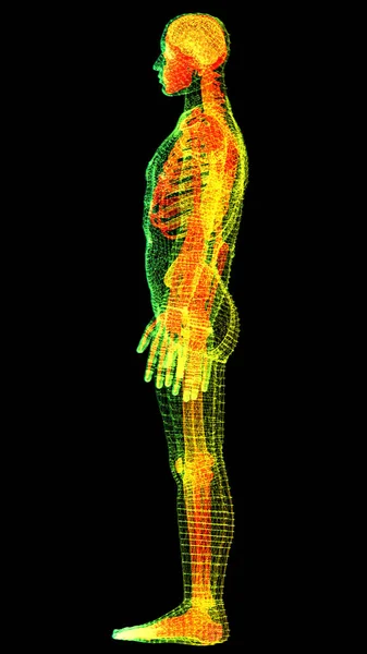 Futurista Cabeça Para Cima Exibir Elemento Movimento Virtual Biomédico Holográfico — Fotografia de Stock