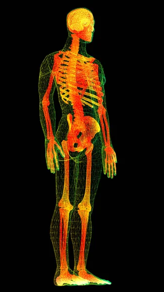 Exploración Biomédica Virtual Holográfica Del Cuerpo Humano Del Elemento Movimiento — Foto de Stock