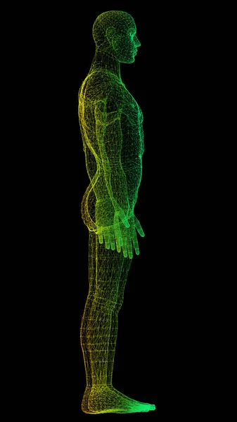 Gelecekteki Baş Ekran Hareket Elementi Sanal Biyomedikal Holografik Insan Vücut — Stok fotoğraf
