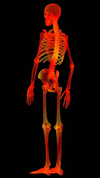 Futuristisch Hoofd Omhoog Vertoning Bewegingselement Virtueel Biomedisch Holografisch Menselijk Lichaam — Stockfoto