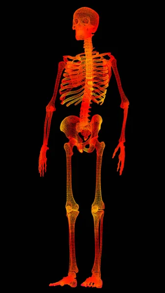 Escaneo Holográfico Biomédico Virtual Del Cuerpo Humano Del Elemento Movimiento —  Fotos de Stock