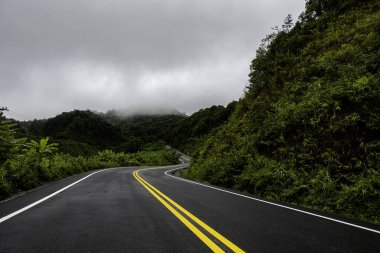 Doi Phuka Dağı 'ndaki sakin yemyeşil ve yeşillik yağmur ormanları dağ manzarasından geçen kırsal yol Tayland' ın kuzeyindeki ulusal parka ayrıldı.