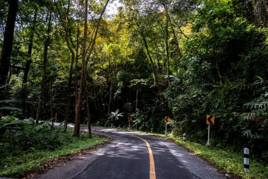 Doi Phuka Dağı 'ndaki sakin yemyeşil ve yeşillik yağmur ormanları dağ manzarasından geçen kırsal yol Tayland' ın kuzeyindeki ulusal parka ayrıldı.