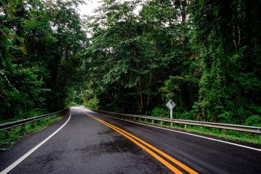 Doi Phuka Dağı 'ndaki sakin yemyeşil ve yeşillik yağmur ormanları dağ manzarasından geçen kırsal yol Tayland' ın kuzeyindeki ulusal parka ayrıldı.