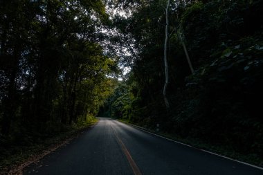 Doi Phuka Dağı 'ndaki sakin yemyeşil ve yeşillik yağmur ormanları dağ manzarasından geçen kırsal yol Tayland' ın kuzeyindeki ulusal parka ayrıldı.