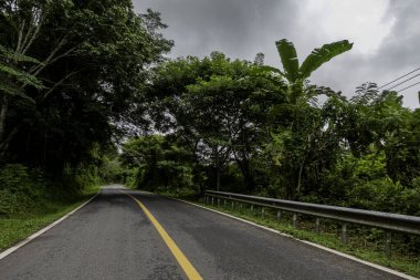 Doi Phuka Dağı 'ndaki sakin yemyeşil ve yeşillik yağmur ormanları dağ manzarasından geçen kırsal yol Tayland' ın kuzeyindeki ulusal parka ayrıldı.