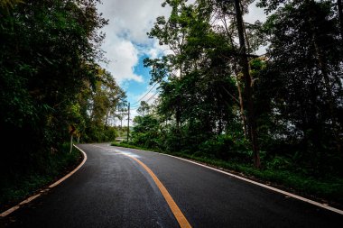 Doi Phuka Dağı 'ndaki sakin yemyeşil ve yeşillik yağmur ormanları dağ manzarasından geçen kırsal yol Tayland' ın kuzeyindeki ulusal parka ayrıldı.