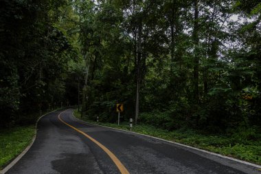 Doi Phuka Dağı 'ndaki sakin yemyeşil ve yeşillik yağmur ormanları dağ manzarasından geçen kırsal yol Tayland' ın kuzeyindeki ulusal parka ayrıldı.