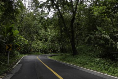 Doi Phuka Dağı 'ndaki sakin yemyeşil ve yeşillik yağmur ormanları dağ manzarasından geçen kırsal yol Tayland' ın kuzeyindeki ulusal parka ayrıldı.