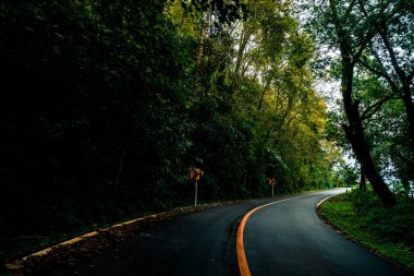 Doi Phuka Dağı 'ndaki sakin yemyeşil ve yeşillik yağmur ormanları dağ manzarasından geçen kırsal yol Tayland' ın kuzeyindeki ulusal parka ayrıldı.